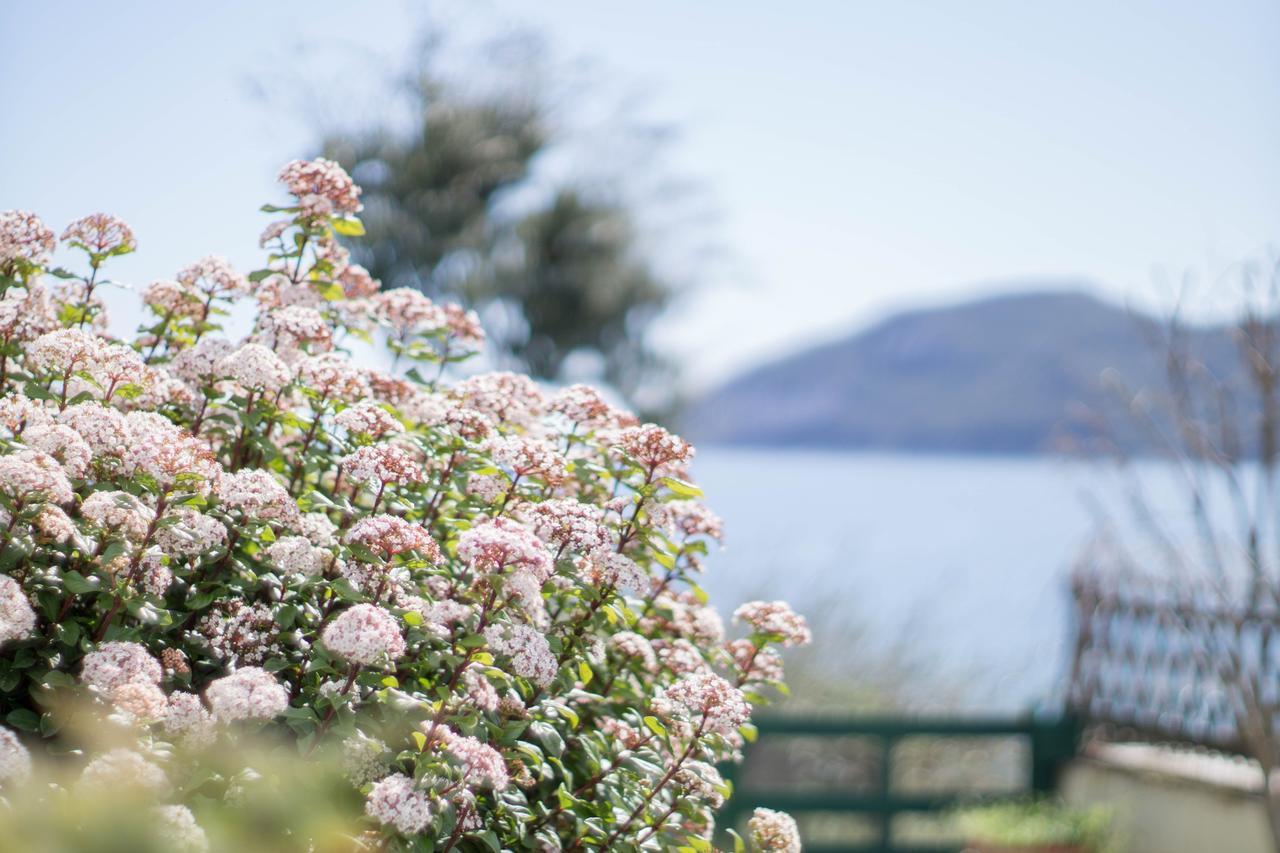 Villa Eirini Nea Iraklitsa エクステリア 写真